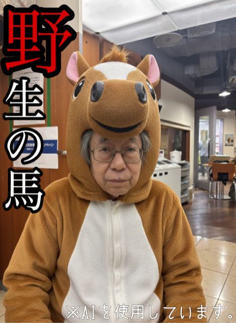 野生の馬