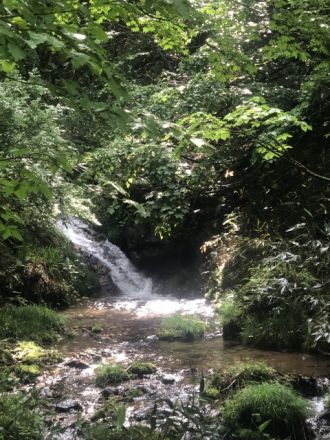 8月2日（月）　今日の1コマ