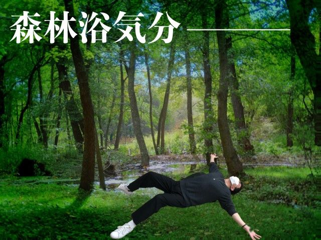 室内で森林浴気分