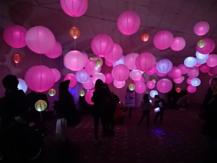 お宝ファイルNO.54　桜んたんページェント