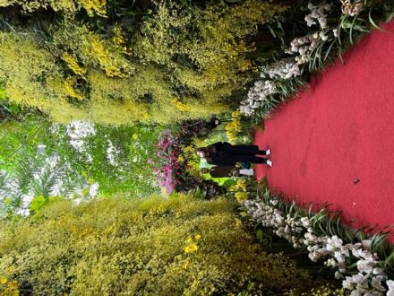 高知観光_花と寺