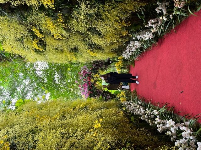 高知観光_花と寺