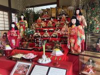 Vol.49 東かがわ市から「引田ひなまつり」のみどころをご紹介！(230222OA)