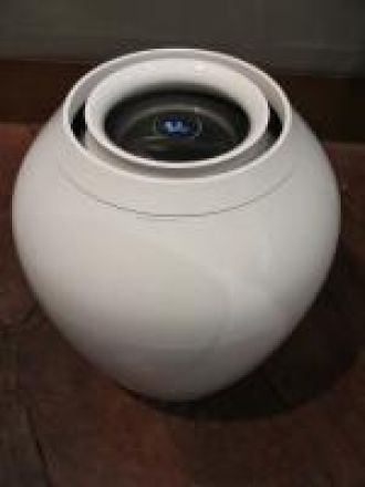 １月２０日（月）