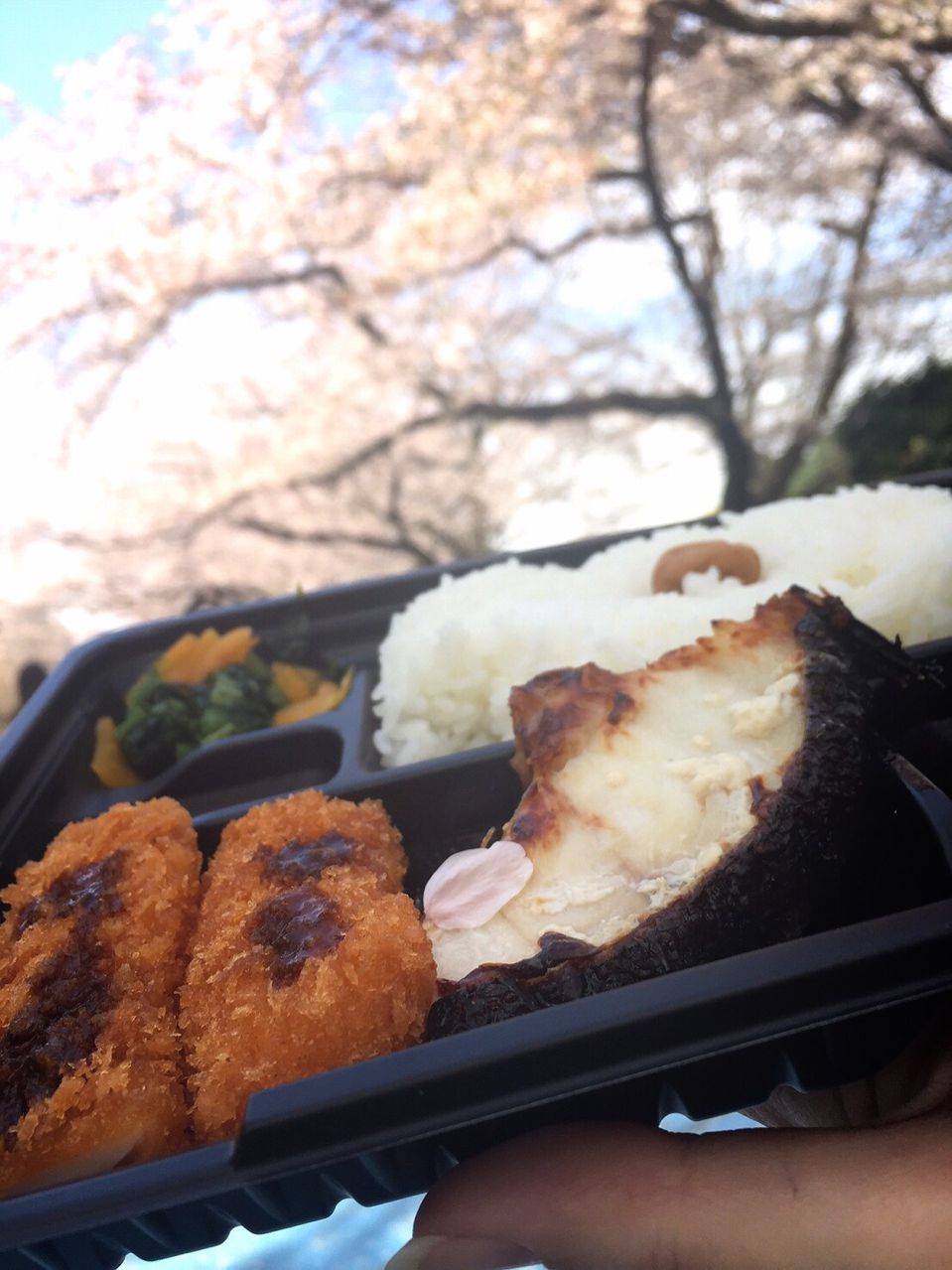 4月7日（木）今日の1コマ