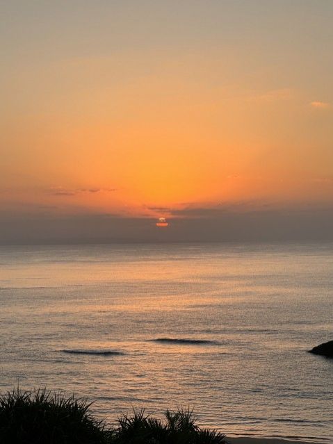 2024年、今年の抱負！