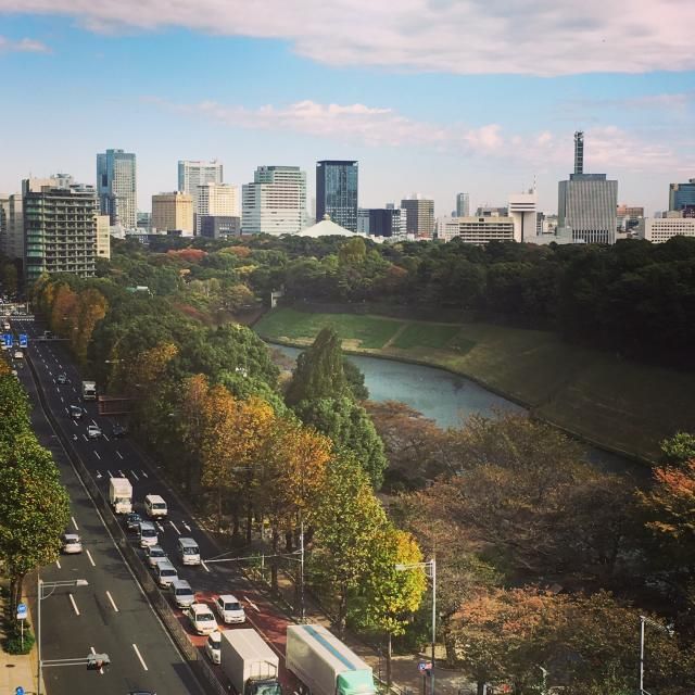 11月9日（水）simple style