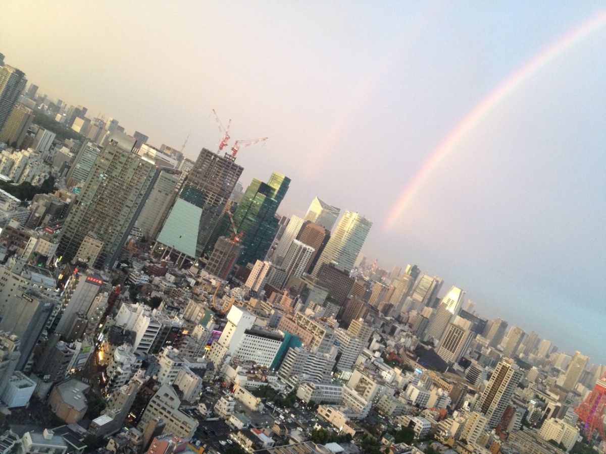 11月26日（木）今日の1コマ