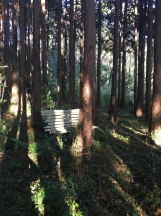 11月13日（月）今日の1コマ　