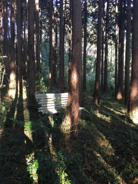 11月13日（月）今日の1コマ　