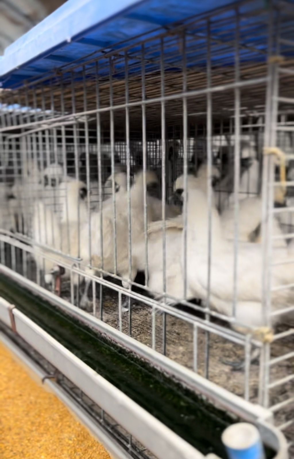 突然終わるアフタートーク