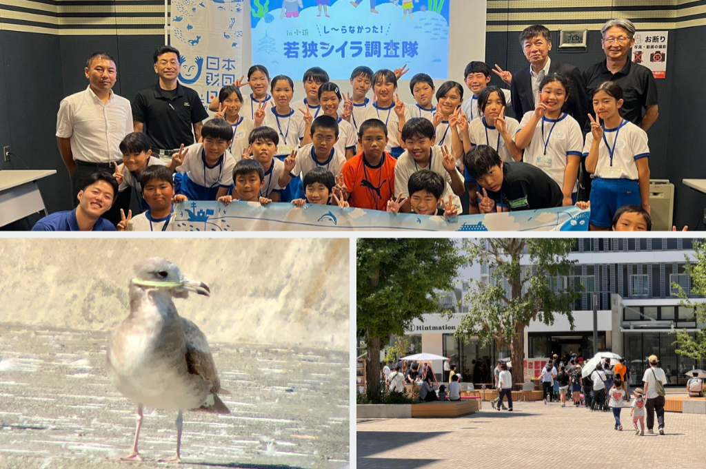 漁獲量が増えた魚の生態を学ぶ「し～らなかった！若狭シイラ調査隊」 / プラスチック汚染から鳥を守る / 団地をコーヒースタンドを備えたコミュニティ拠点に