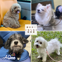 朝みみ！４／１２