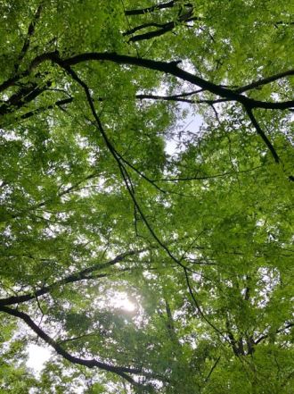 5月21日（月）今日の1コマ　