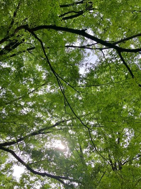 5月21日（月）今日の1コマ　