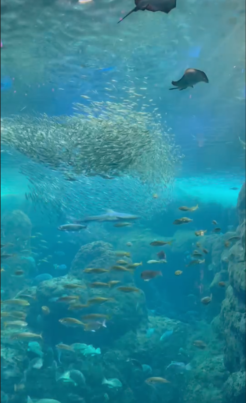 ラブホはどこにありますか？あ、変なことはしませんよ！