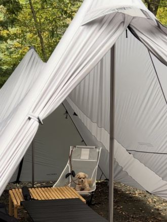 藤井悠のいただき！キャンプ！