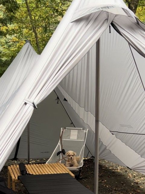 藤井悠のいただき！キャンプ！