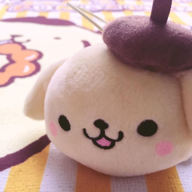 4月 20日（木）今日の1コマ