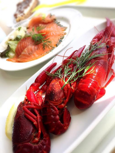 8月4日（木）今日の1コマ