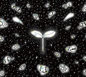 今週のおすトラ！は・・・