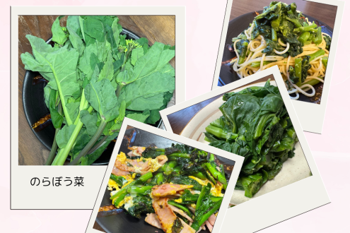 「緑を食べる」特集！ 今週は千葉県千葉市の「のらぼう菜」