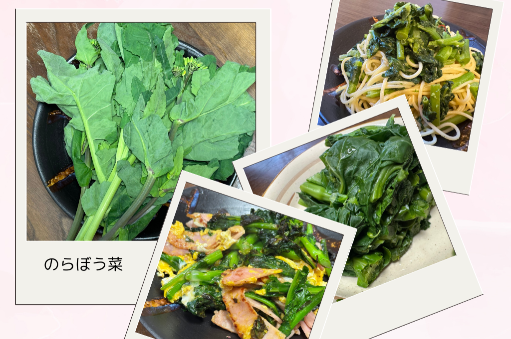 「緑を食べる」特集！ 今週は千葉県千葉市の「のらぼう菜」