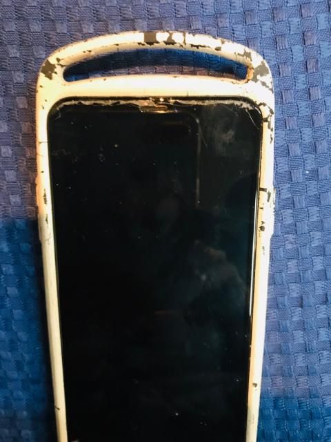 アナタのお宝見せて見せて！