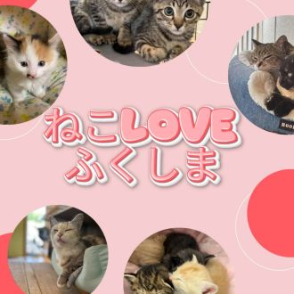 ２０２６年７月２７日放送