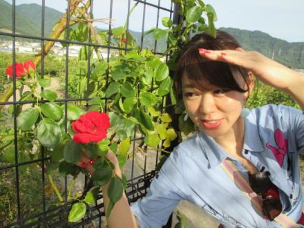 しなの鉄道　サイコロの旅。