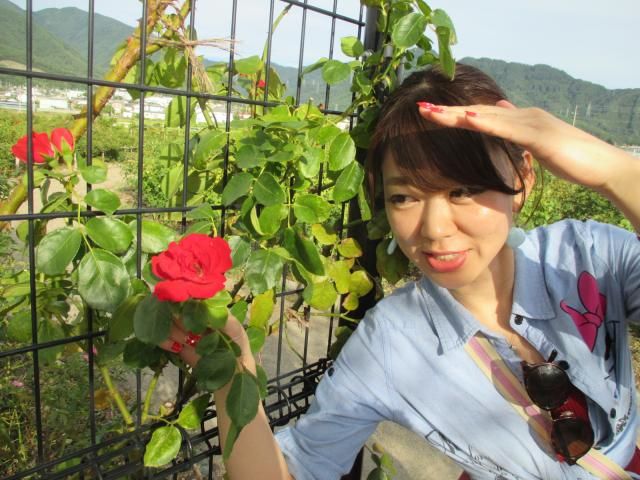 しなの鉄道　サイコロの旅。