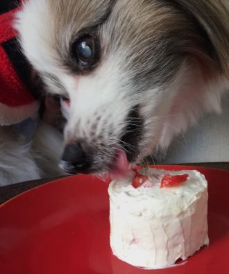 3月22日（水）くわモン放送後記♪♪