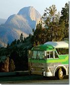 ミドリ・ガメの旅