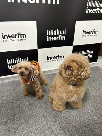 セレブ?＆テコ? 「わたしたちの家族がたくさんトークするスペシャル版です」