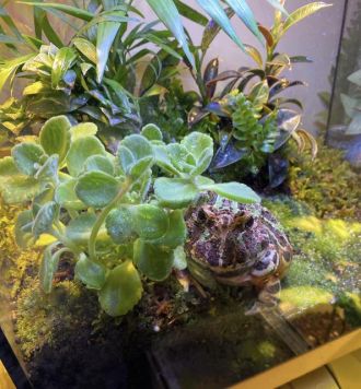 6月4日（木）担当：浦朋恵