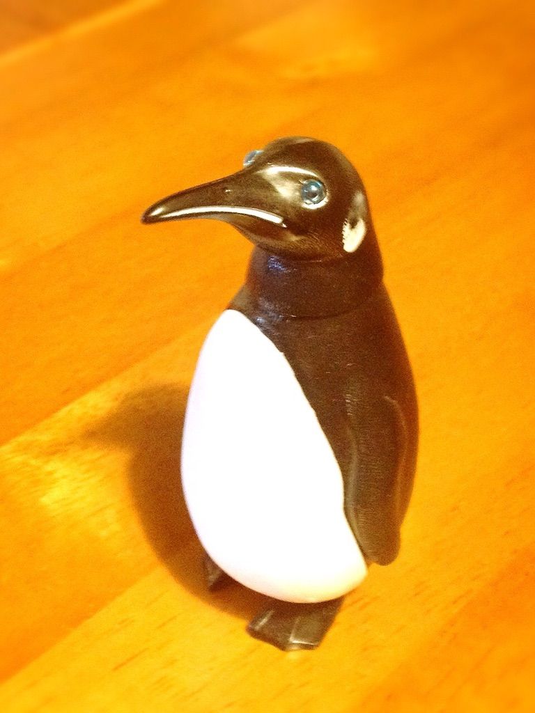 2月26日（木）今日の1コマ