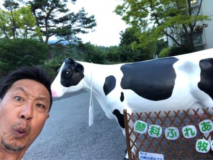 おじさんぽ高原