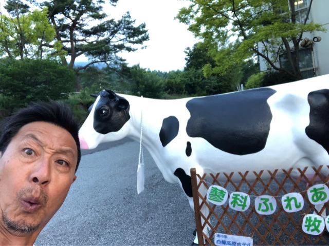 おじさんぽ高原