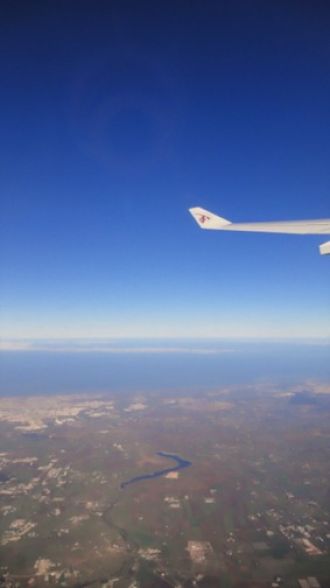 11月27日（金）今日の1コマ