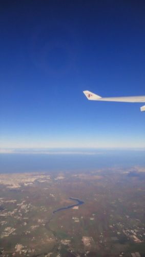 11月27日（金）今日の1コマ