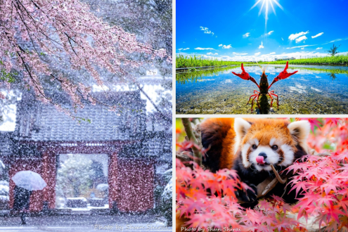 写真で市川の魅力を新発見＆再発見～Shun Shiraiさん（千葉）