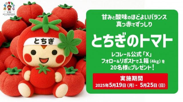 フォロー＆リポストしてくれた方の中から抽選で20名様に、栃木県産のおいしいトマト? をプレゼント！