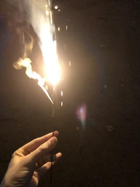 9月7日（月）　今日の1コマ