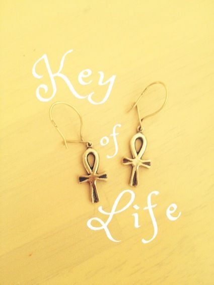 2015年2月27日（金）今日の1コマ