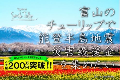 富山のチューリップで、能登半島地震災害義援金を集めたい