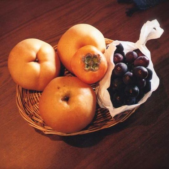 11月11日（火）今日の1コマ