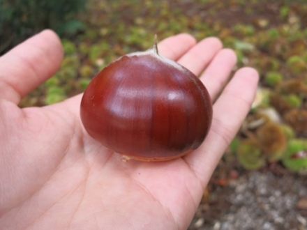 9月22日（火）今日の1コマ