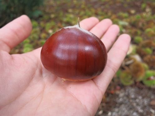 9月22日（火）今日の1コマ