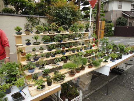 街フェスオンサンデー！