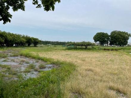 ラジオドラマ【Dear Japan～江戸から伝わる匠の技：多摩織～第４話】